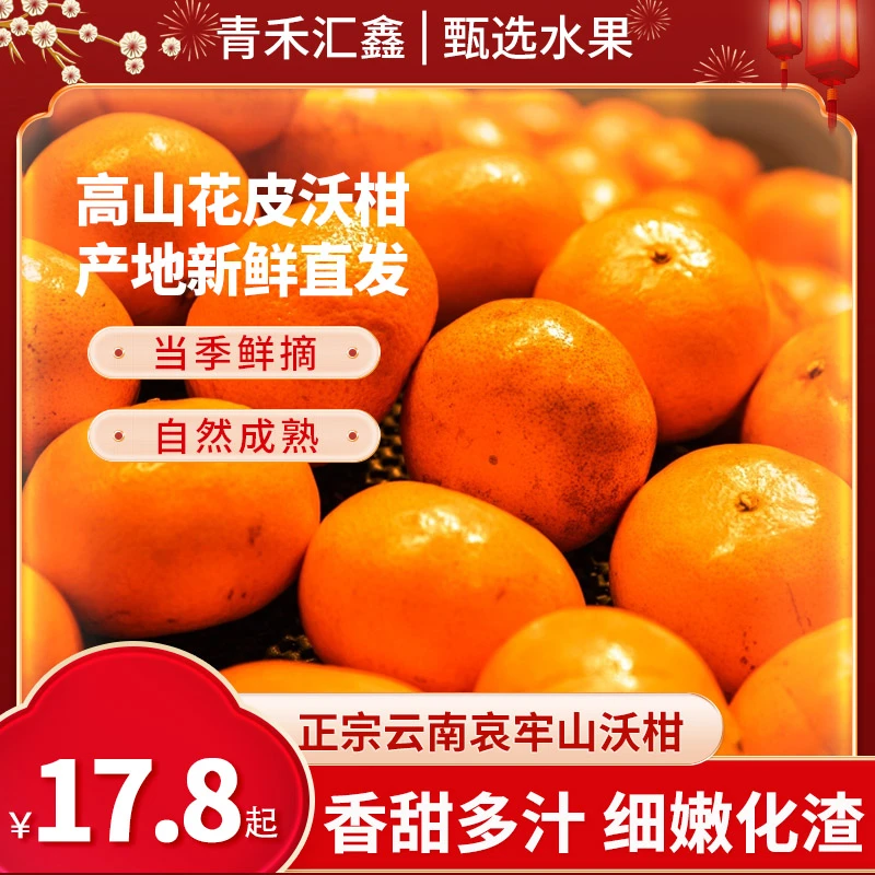 云南哀牢山沃柑新鲜水果当季大果现摘鲜沙糖蜜橘花皮广西武鸣沃柑