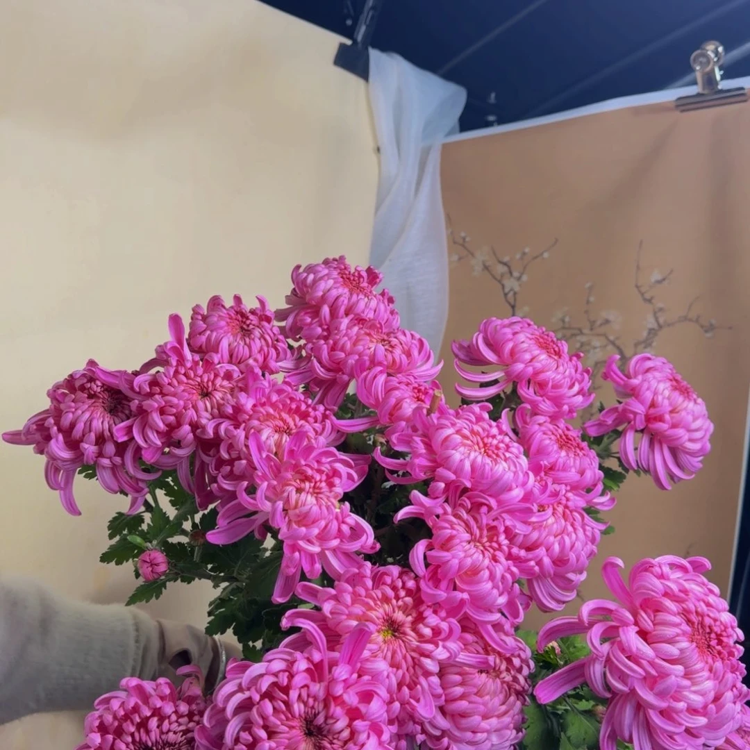 完全开放W222222222222