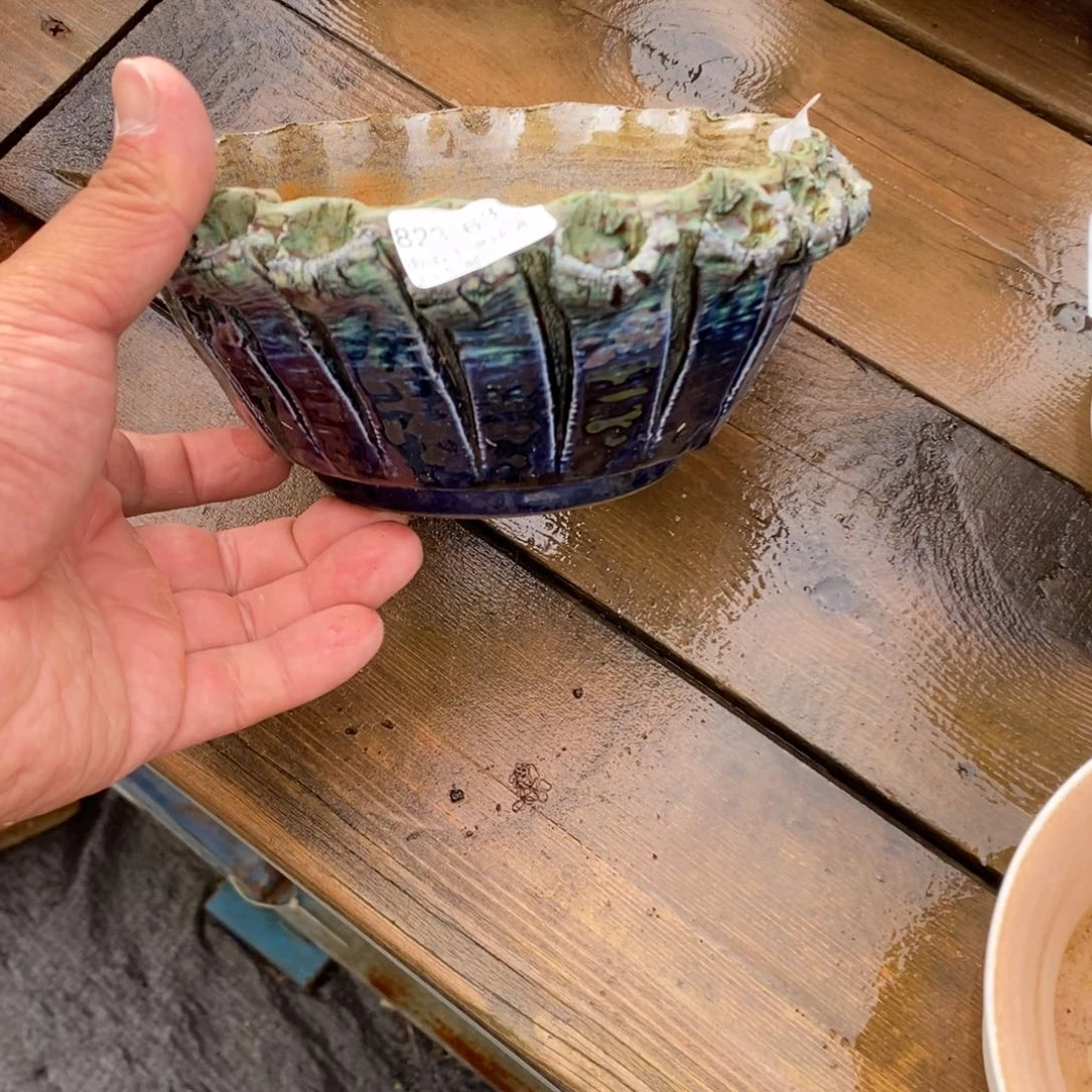 63号花盆内16高8花盆