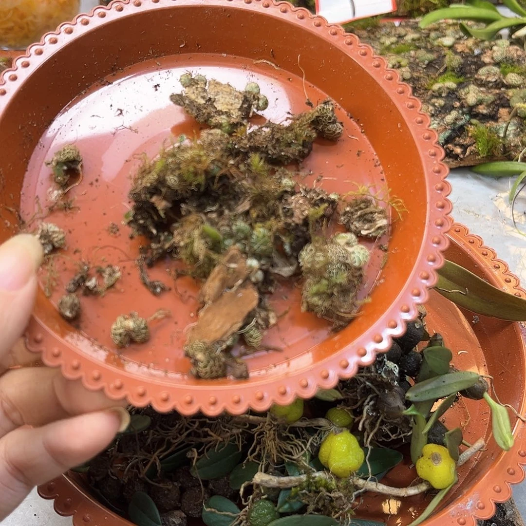 谁***！10。。。。。。。。。。。。。