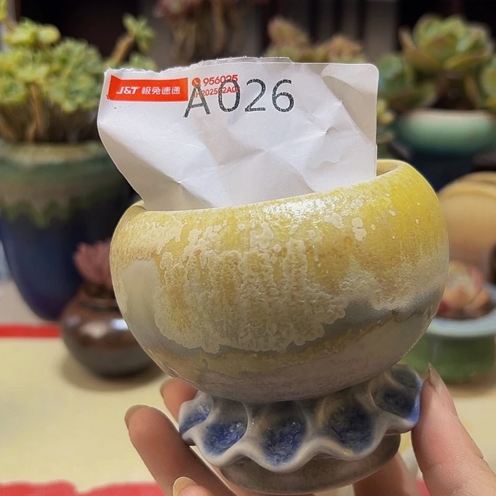 景德镇陶瓷研究所猫***只