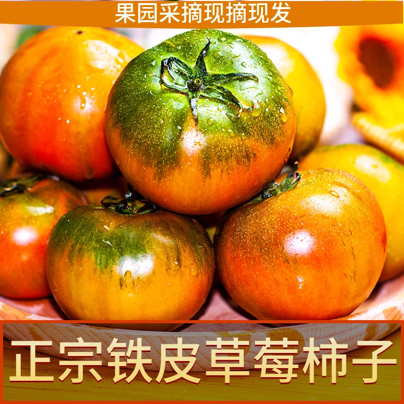 发顺丰铁皮柿子新鲜水果鹰爪盘锦丹东草莓西红柿自然碱地现摘番茄