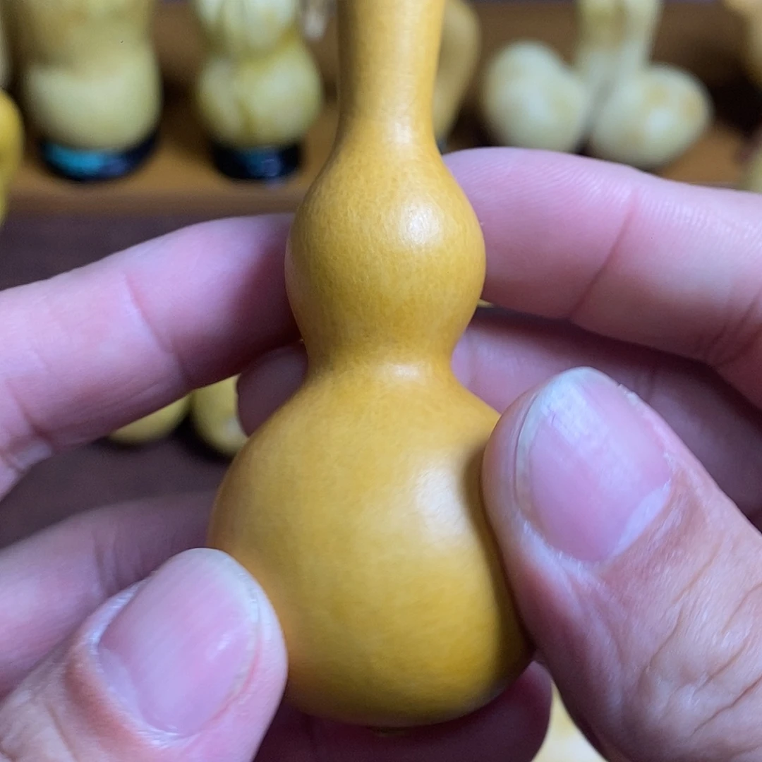 流***&长嘴八宝，面面正