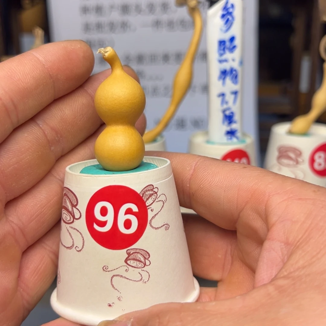 闪电购自助下单编号96
