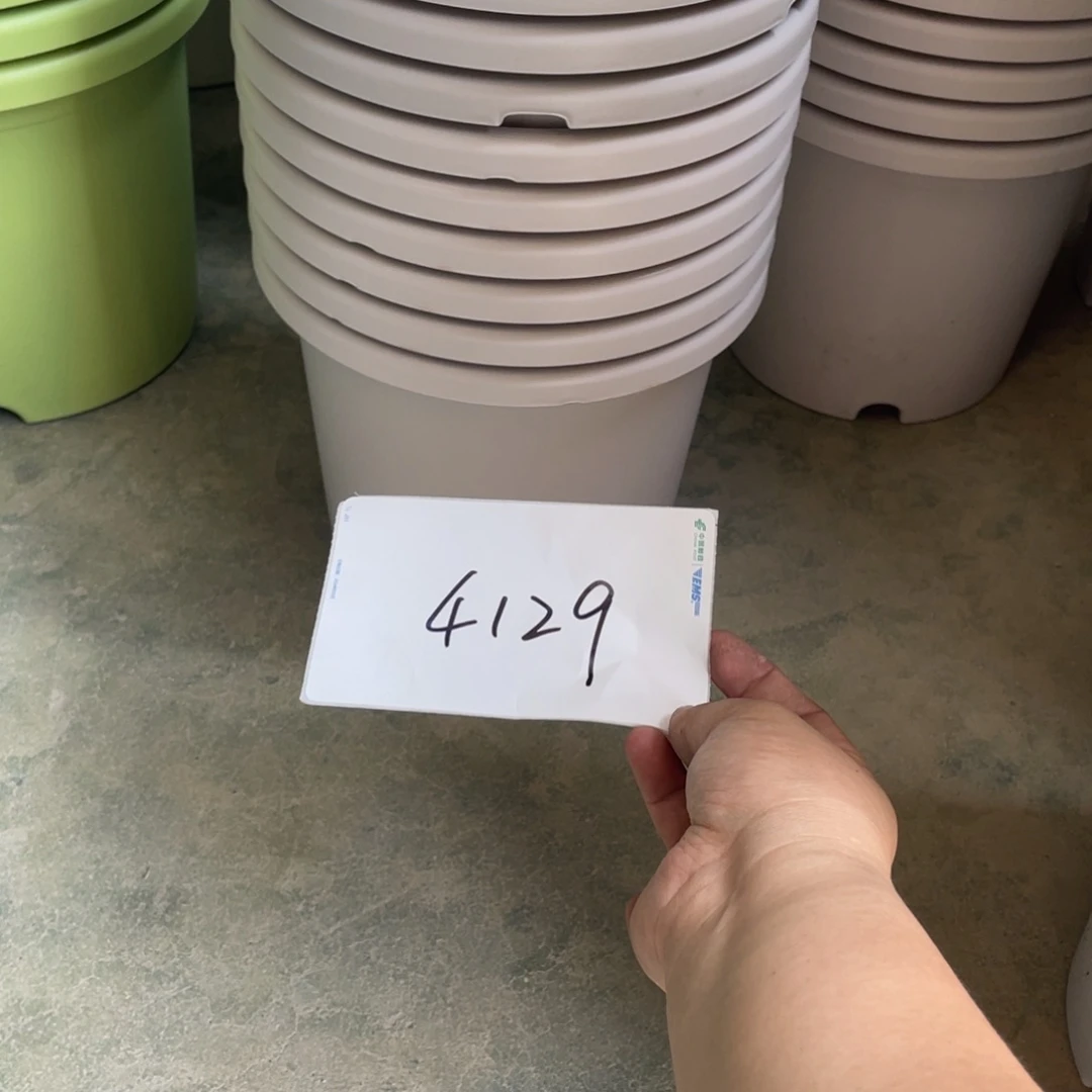 千*蟹编号是4129的编号