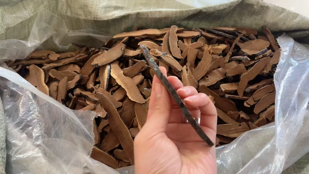 高原甄选山货   紫灵芝片