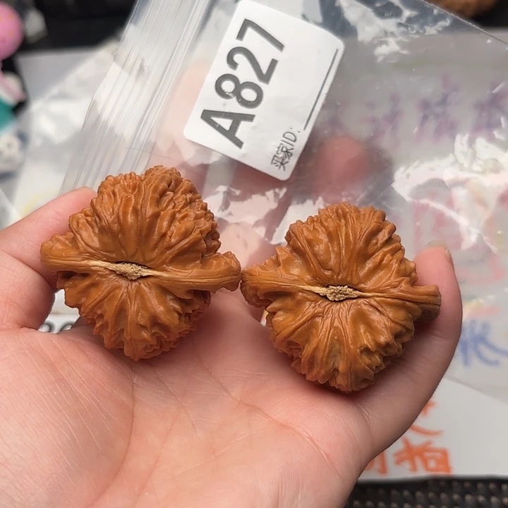 桃核把件核桃白狮子45