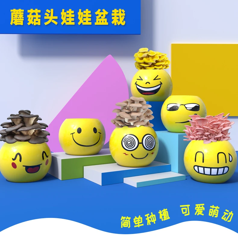 表情蘑菇种植菌包玩具科学小实验家庭趣味种平菇观察日记宝藏好物