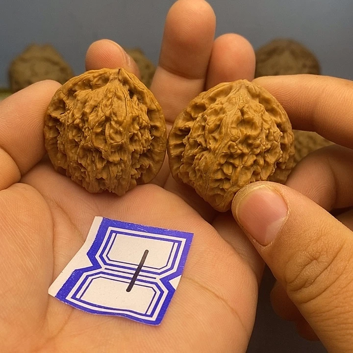 吊坠文玩核桃34白狮子