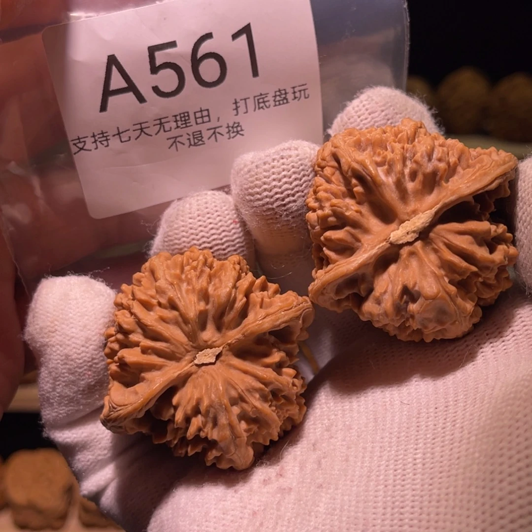 核桃手串/手链561号44满天星