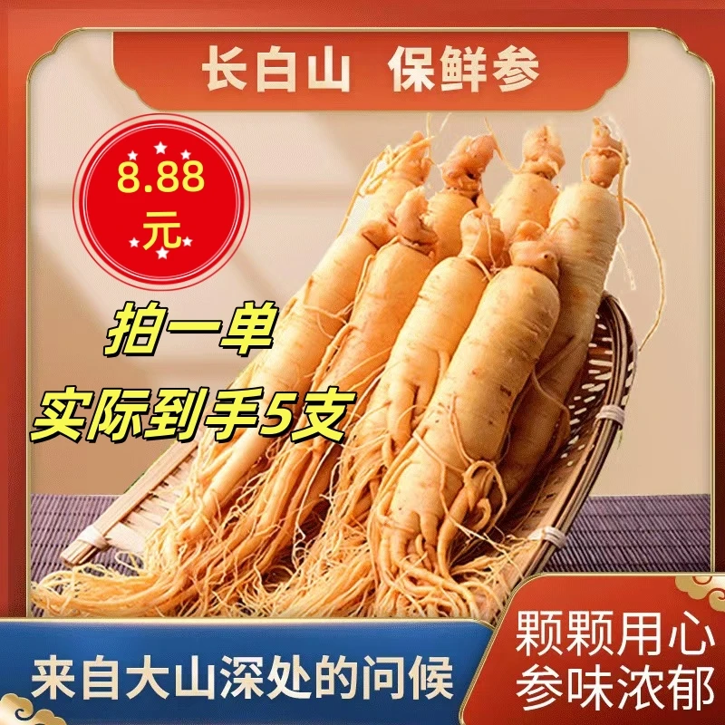 【不带盒子】东北保鲜人参真空独立包装拍一单发5支单只6克左右