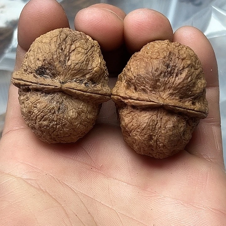 文玩核桃把件26号古蛙41尺