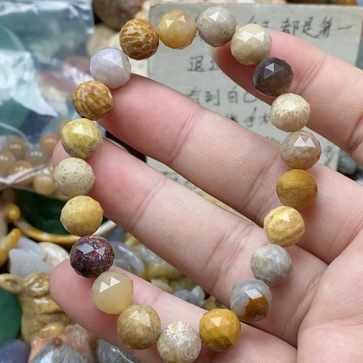 硅化珊瑚（珊瑚玉）未镶嵌颈饰
