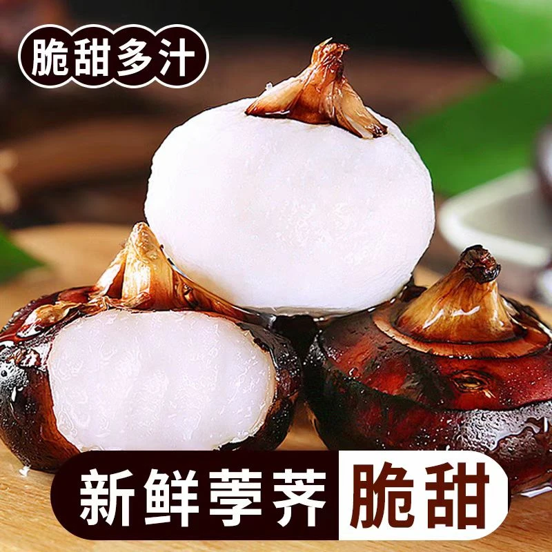 精选大果马蹄荸荠新鲜现挖即食疏果