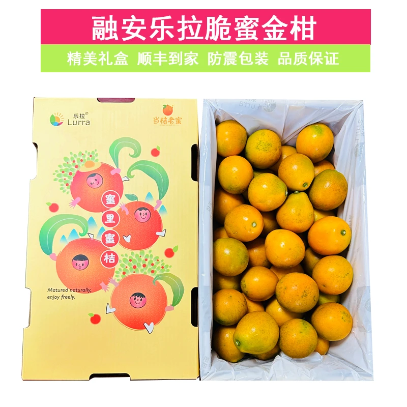 广西脆蜜金桔3斤礼盒装脆皮金桔皮薄金桔新鲜水果脆甜冰糖