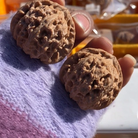 文玩核桃把件39白狮子