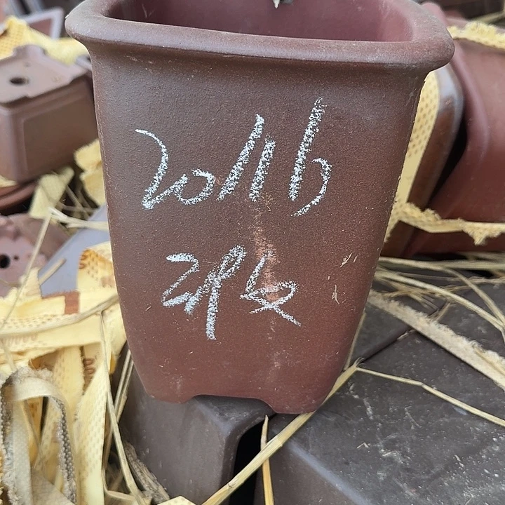 紫砂和花都区将以每年举办大型