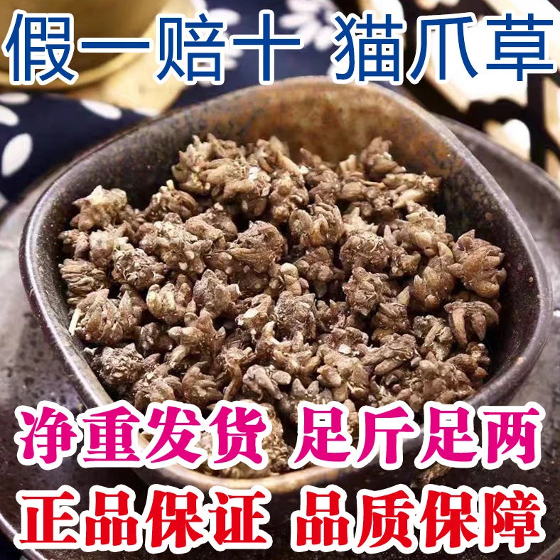 【免费试吃50克】信阳猫爪草新货可搭配麦冬黄芪破冬花百合泡水