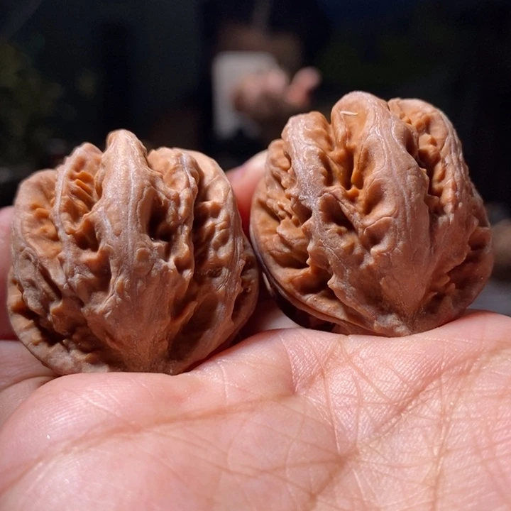 把件文玩核桃东北楸子 139