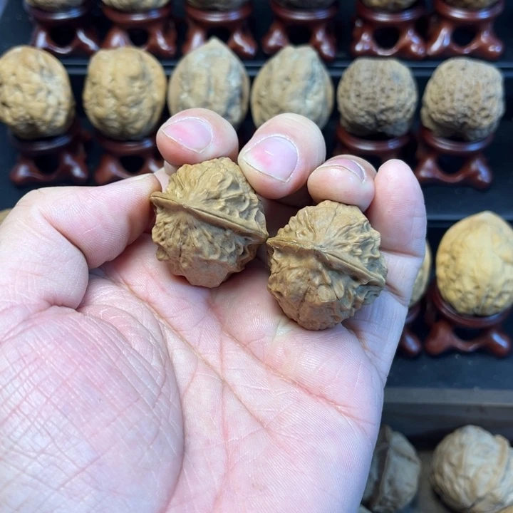 咸***风核桃铁核桃大虫子4