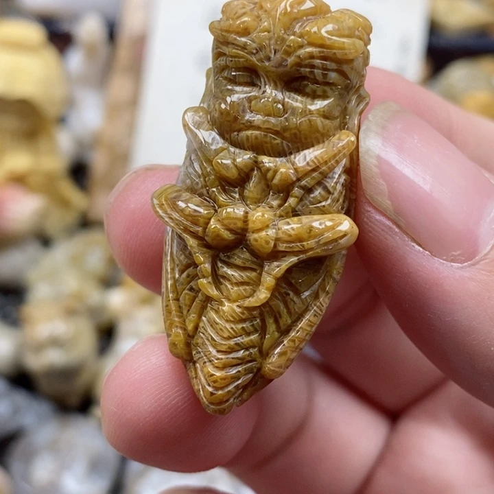 颈饰未镶嵌硅化珊瑚（珊瑚玉）