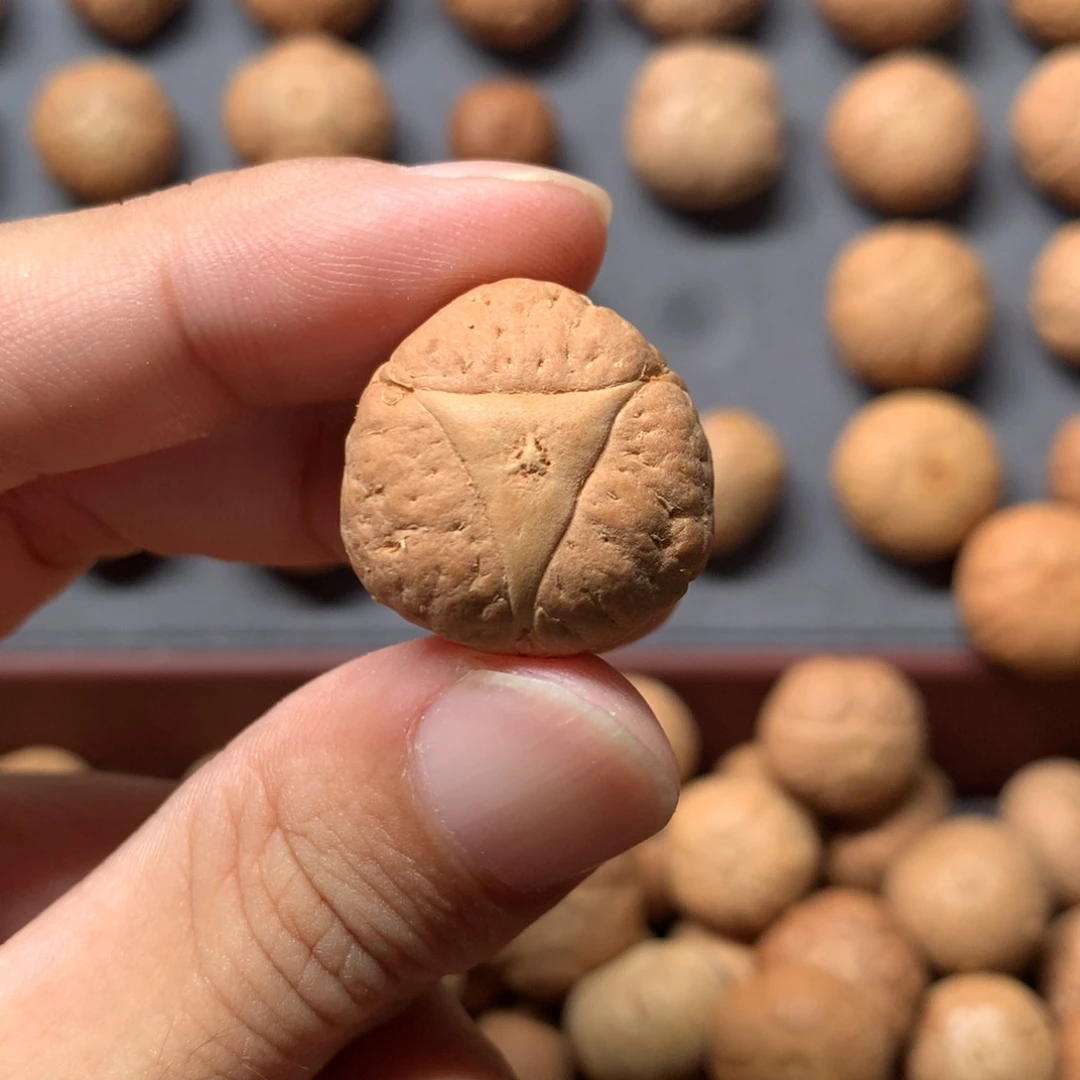 L***6吊坠凤眼菩提22mm肌肉龙眼三通，打孔不退换