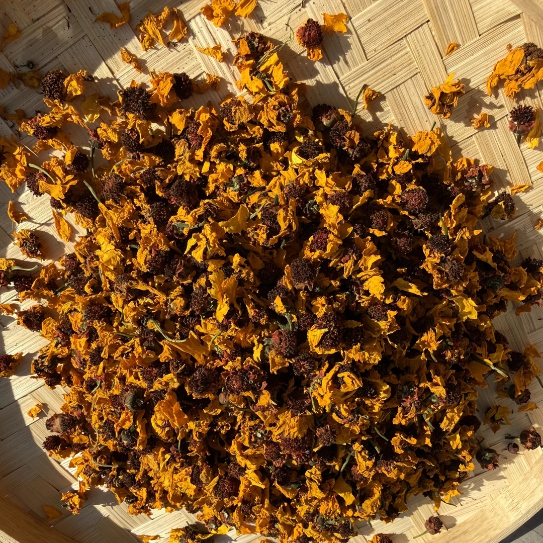 【康泽堂精选山货】昆仑雪菊纯天然野生采摘可搭配枸杞云南特产一斤