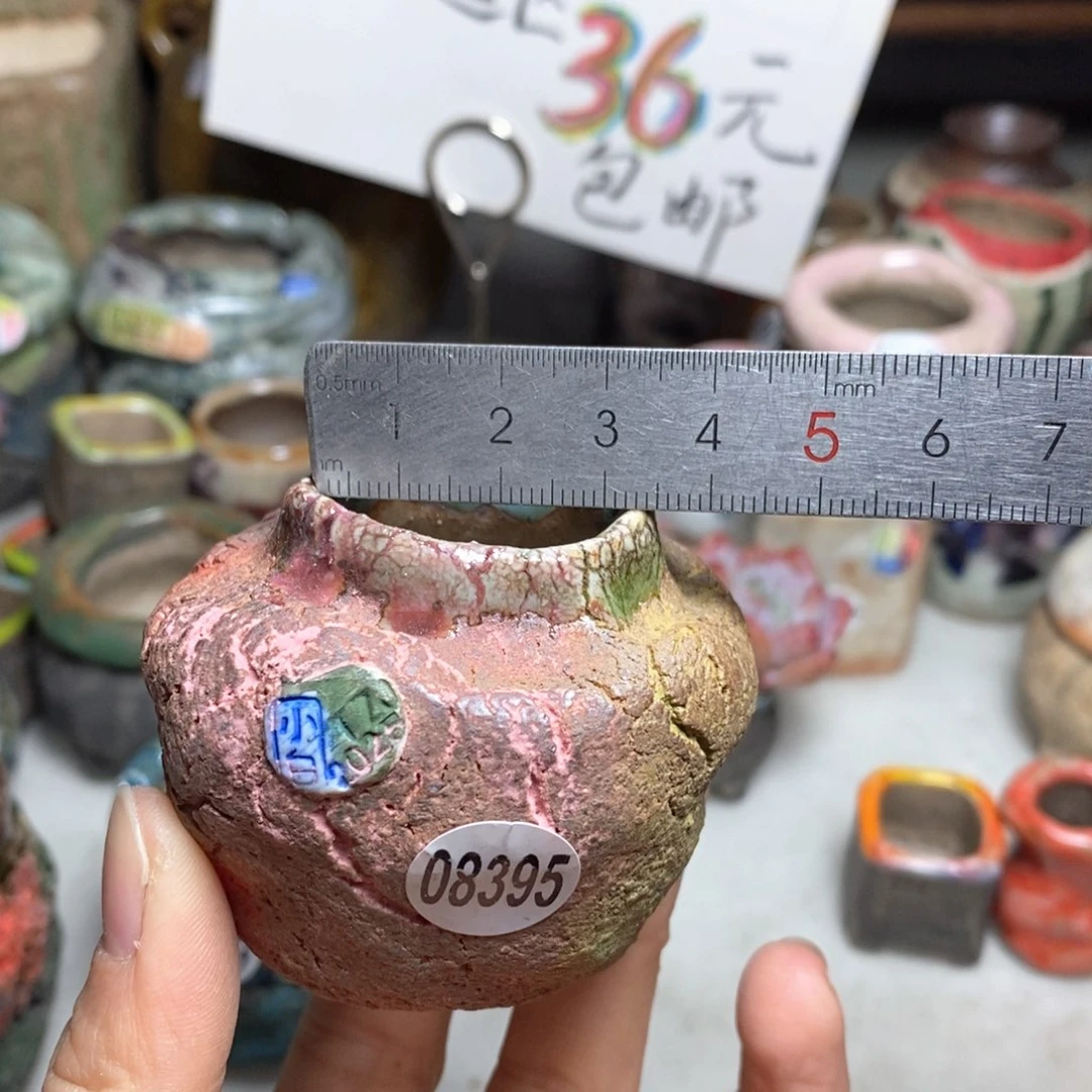 花盆拍3送一个小礼物