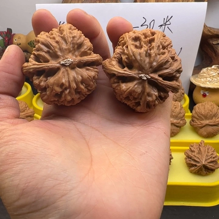 。***。核桃全品45大粗筋