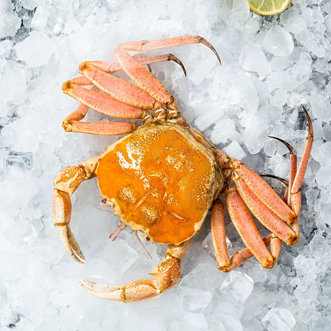 黄金雪蟹 顺丰冷链发货 部分缺腿 介意勿拍