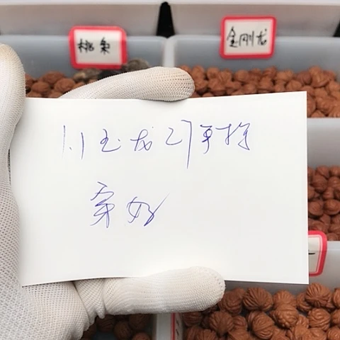桃核吊坠艳**?龙纹桃核的搭配