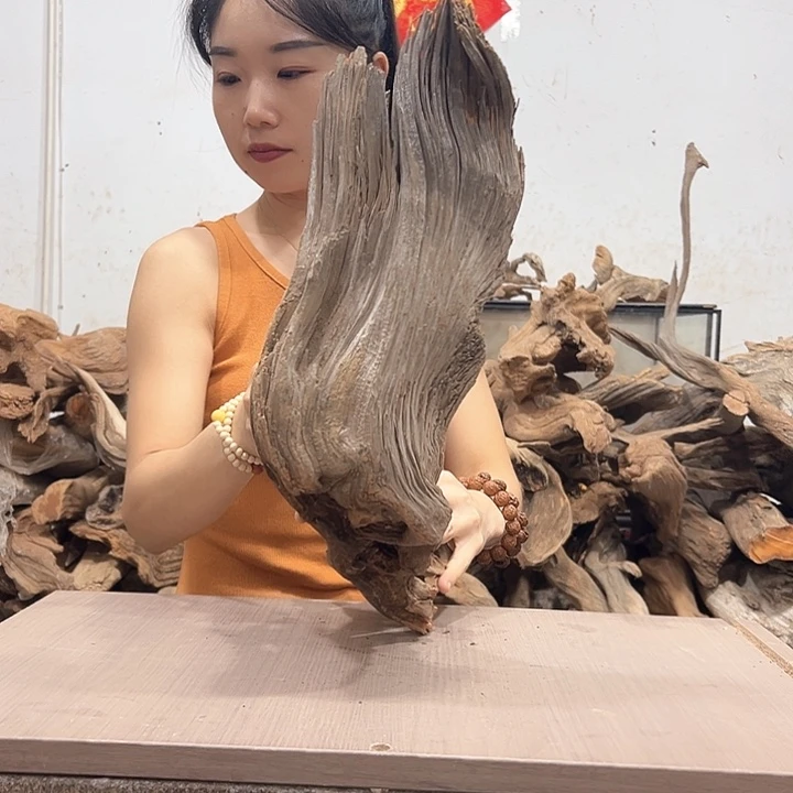 柏木呆*呗我们的生活也