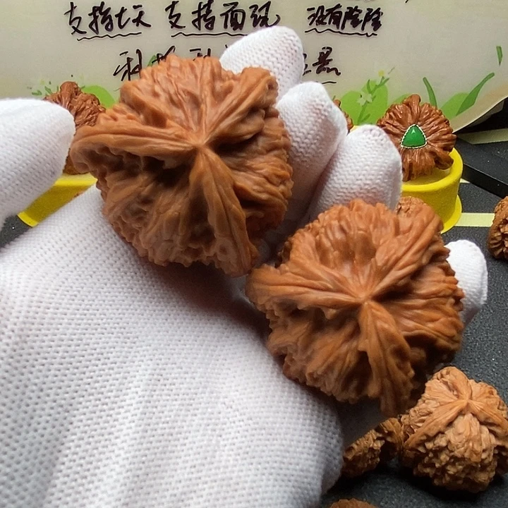 核桃42拼接白狮子