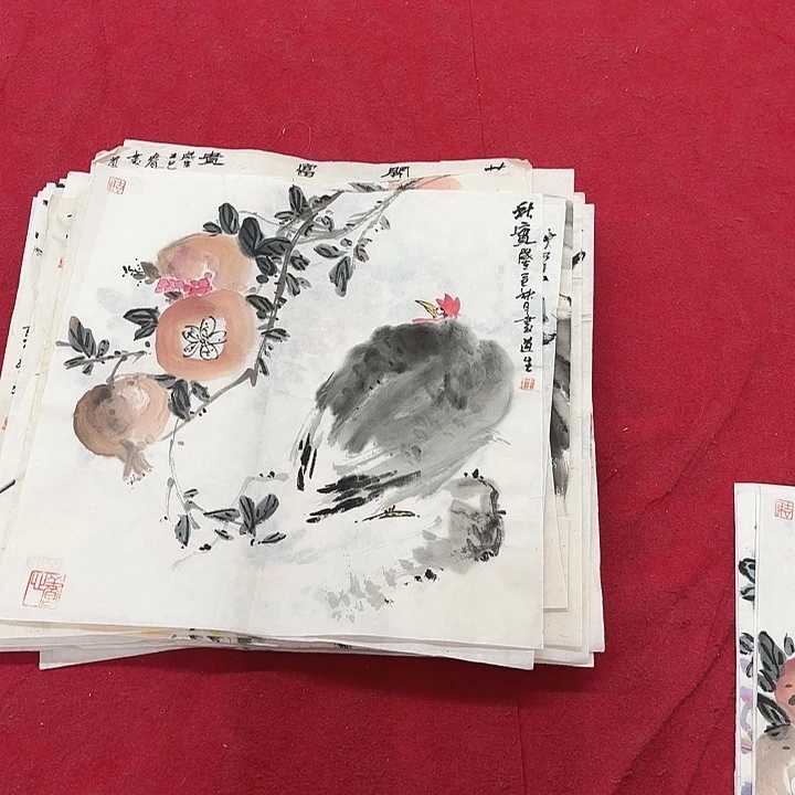 国画花鸟的翅膀和翅膀都