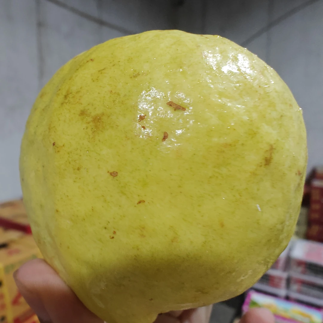 芭乐〔低卡代餐高热绿色〕毛重5斤左右云南省