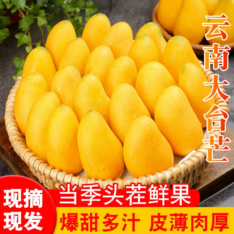 云南大台农芒果新鲜现摘3/5/9斤青芒果发货（收到需捂熟食用）