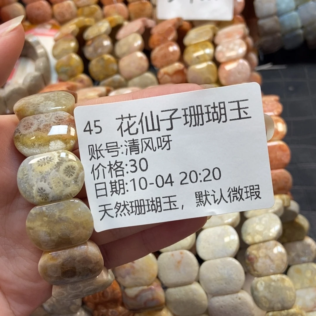 清***呀硅化珊瑚（珊瑚玉）未镶嵌珠宝半成品45