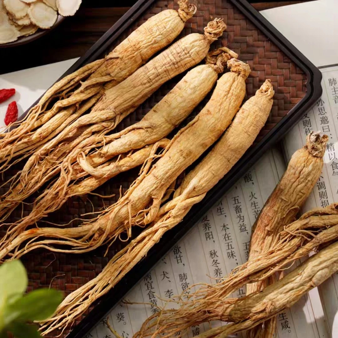 【白参】长白山人参白参生晒参足干参泡酒煲汤