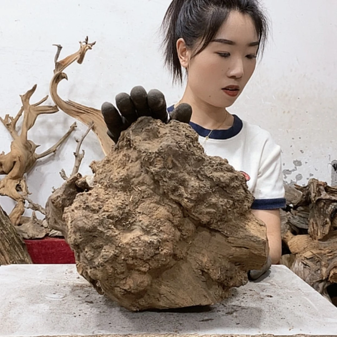 【闪购商品】柏木上****啦我们都是好孩子