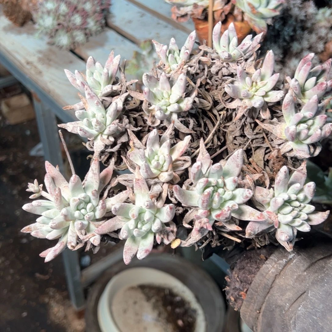 7655哈哈哈哈哈哈哈