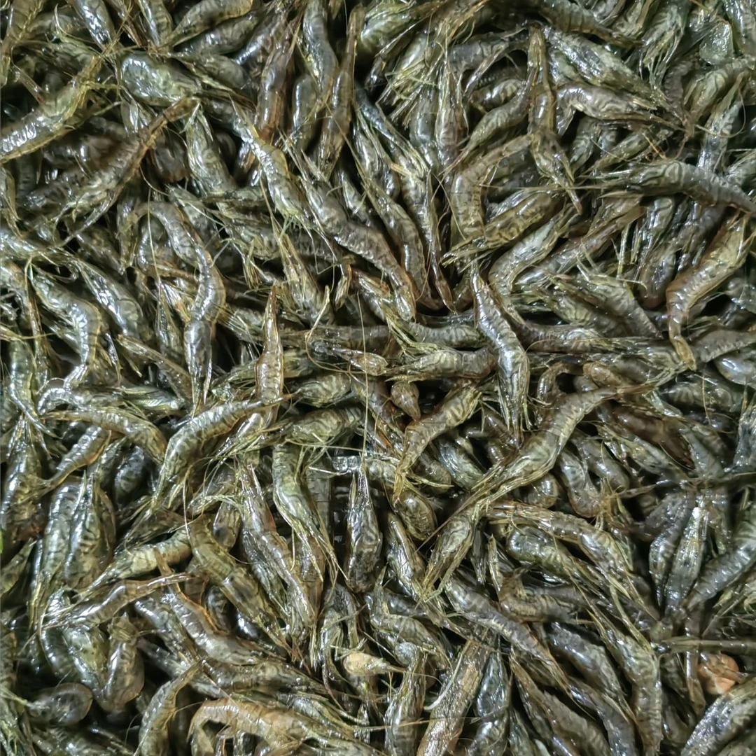 （速冻发货）纯野生小草虾（炸福利）