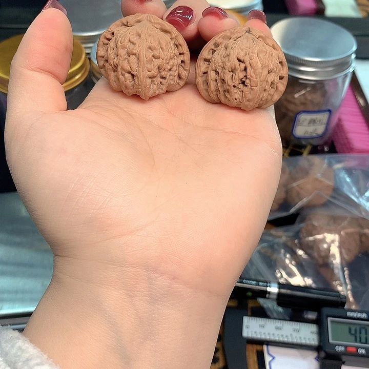 木质类小白狮子36尺寸
