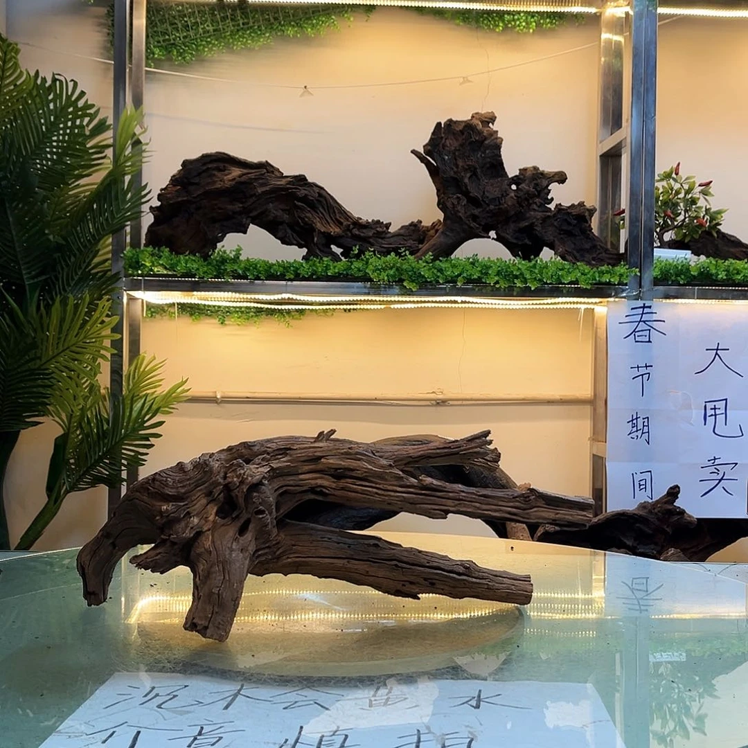 柚木德*沉木鱼缸造景