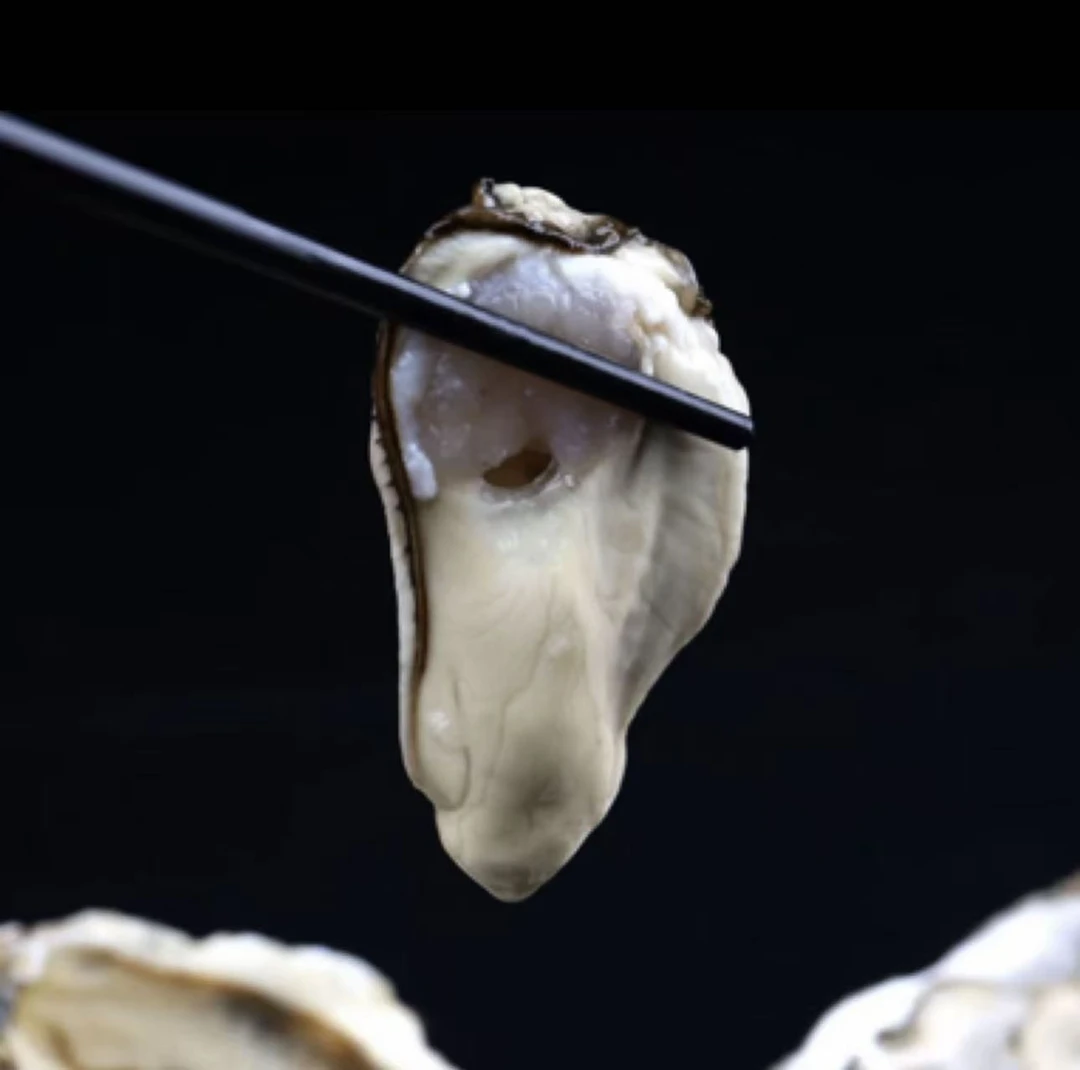 新鲜正宗大连生蚝牡蛎海蛎子产地直发新鲜美味（中大号生吃2/3斤）