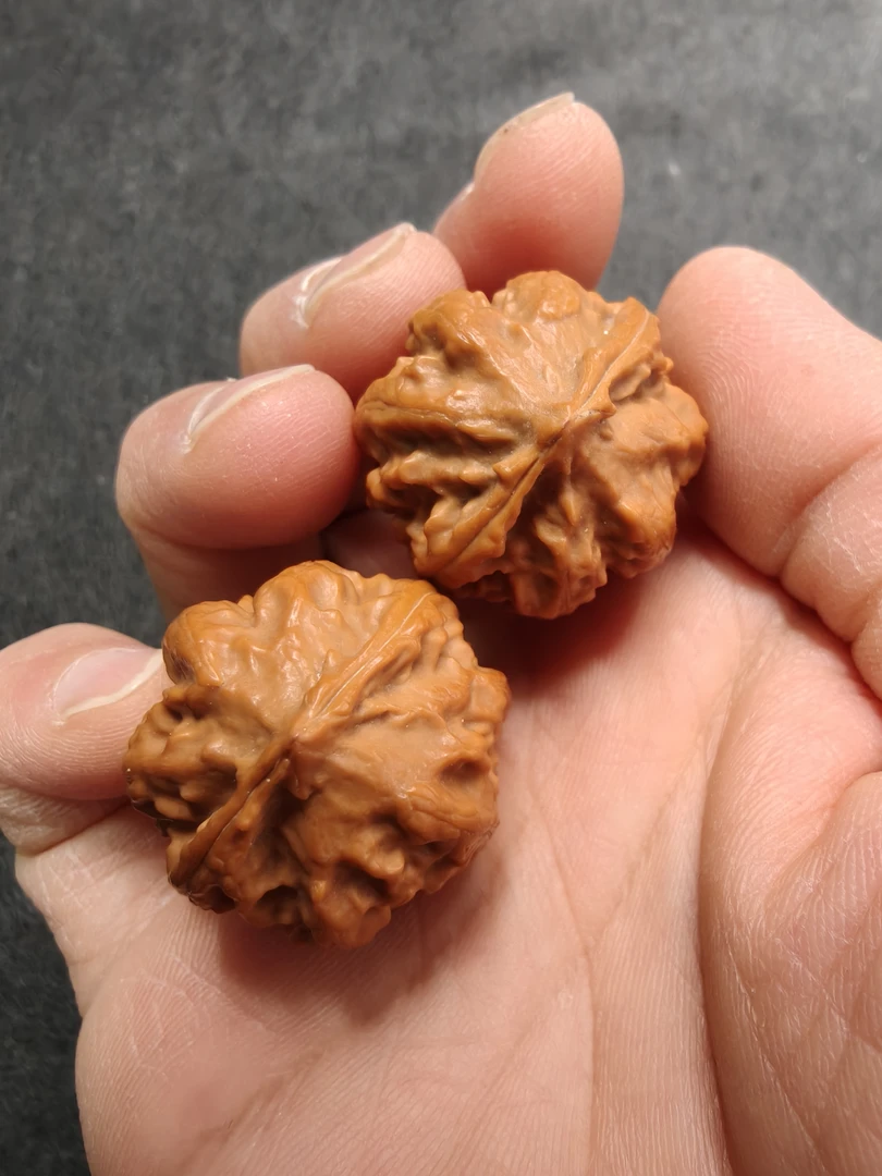 这款八筋聚顶霸王龙筋核桃对手捻25-26mmm