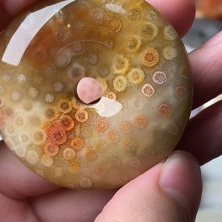 南***居硅化玉未镶嵌颈饰