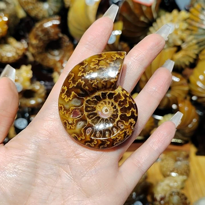 训***人石材1234568888888