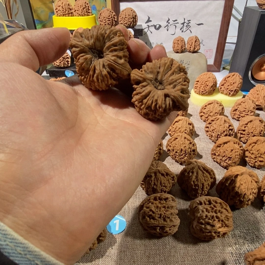 木质类大奥迪南疆石