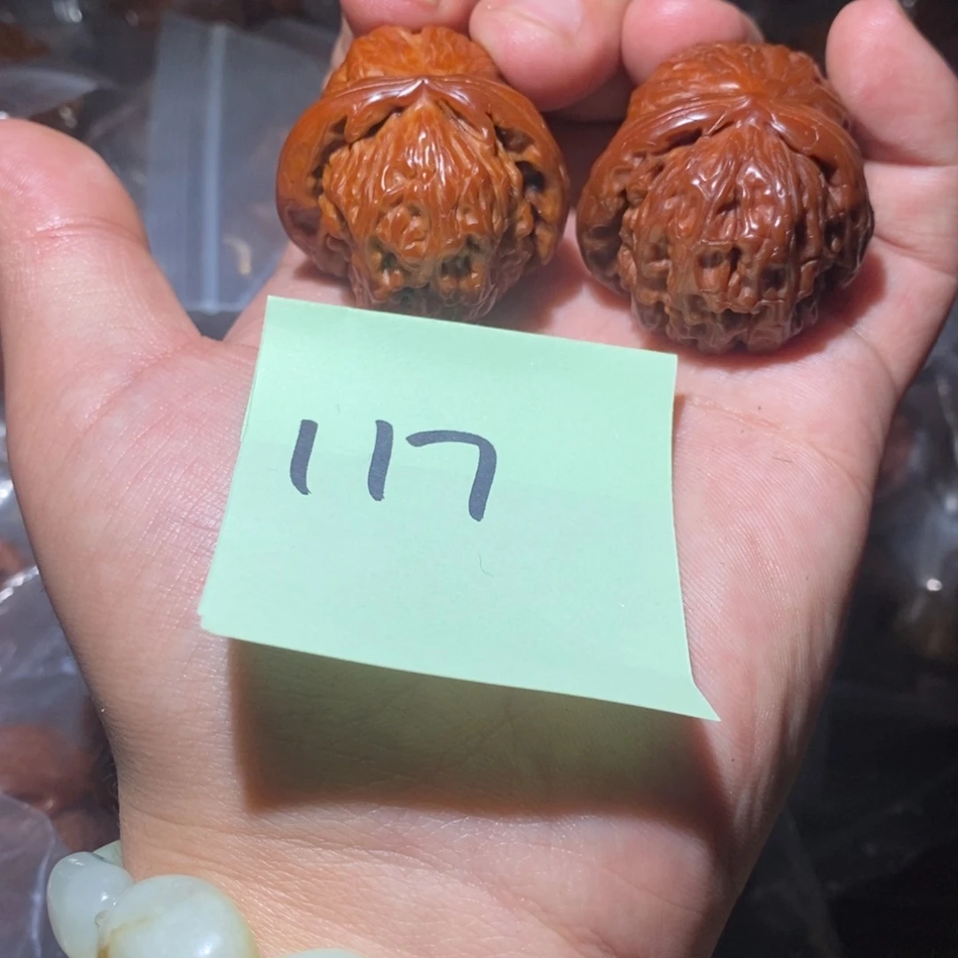 37白狮子。