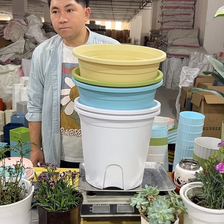 四季盆口30高30混色5个无托